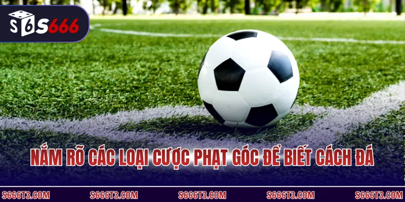 Nắm rõ các loại cược phạt góc để biết cách đá
