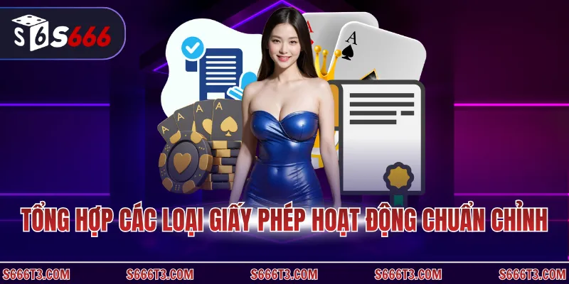 Tổng hợp các loại giấy phép hoạt động chuẩn chỉnh